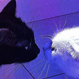 Meet your Posher, Gianna